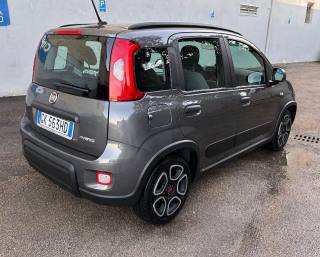 FIAT Panda usata, con Antifurto
