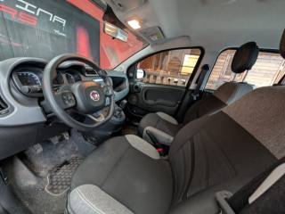 FIAT Panda usata, con Chiusura centralizzata