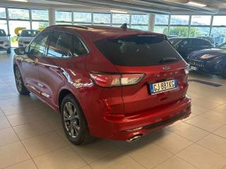 FORD Kuga usata, con Alzacristalli elettrici
