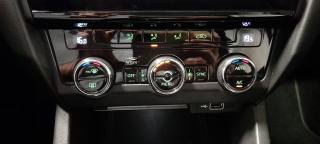 SKODA Octavia usata, con Airbag testa