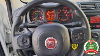 FIAT Panda usata, con Airbag Passeggero