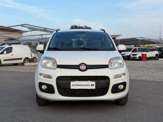 FIAT Panda usata 15