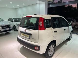 FIAT Panda usata, con Cronologia tagliandi