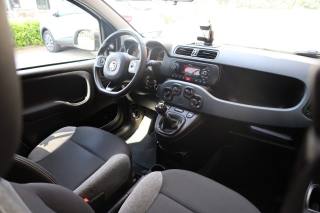 FIAT Panda usata 56