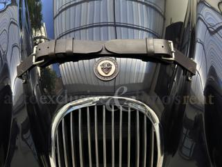 JAGUAR XK usata 11