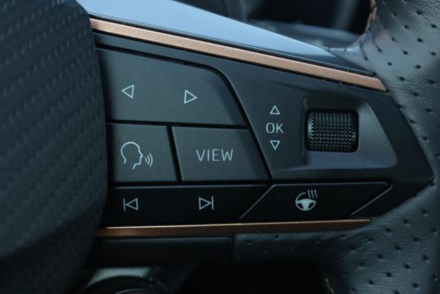 CUPRA Leon usata, con Filtro antiparticolato