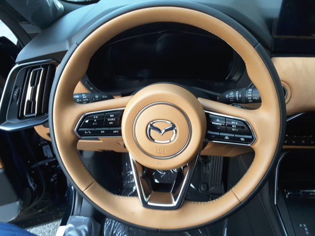 MAZDA CX-60 usata, con Boardcomputer