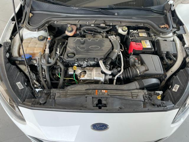 FORD Focus usata, con Chiusura centralizzata