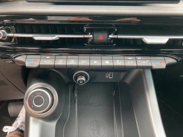 ALFA ROMEO Tonale usata, con Cronologia tagliandi