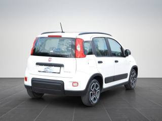 FIAT Panda usata, con Chiusura centralizzata