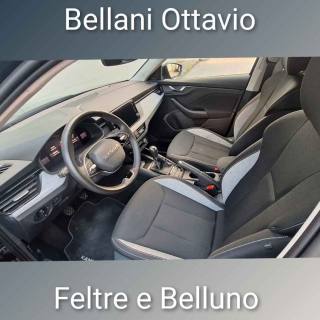 SKODA Kamiq usata, con Cruise Control