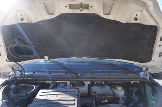 IVECO Daily usata 45