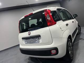 FIAT Panda usata, con Alzacristalli elettrici