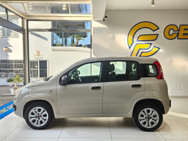 FIAT Panda usata, con Antifurto