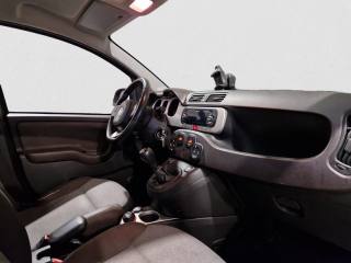 FIAT Panda Cross usata, con Controllo trazione