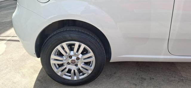 FIAT Punto usata 16