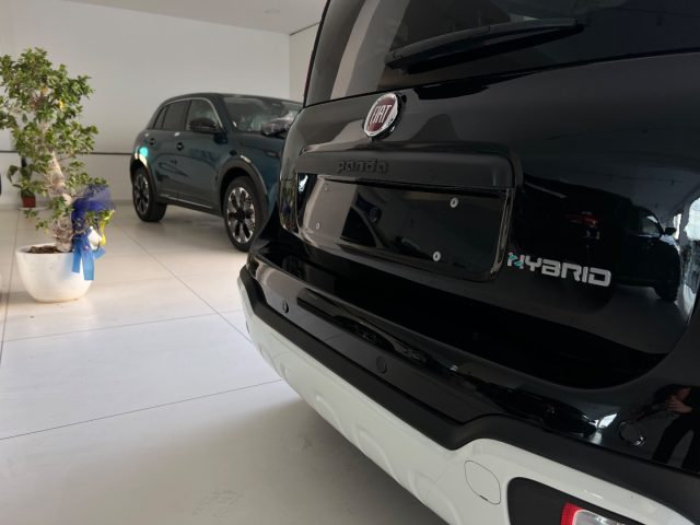 FIAT Panda usata, con Cronologia tagliandi