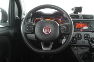 FIAT Panda usata 11