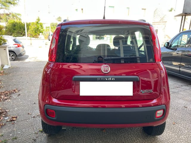 FIAT Panda usata 6