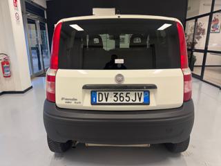 FIAT Panda usata, con Controllo trazione