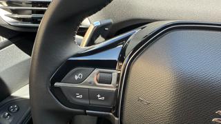 PEUGEOT 3008 usata, con Autoradio