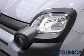 FIAT Panda usata 43