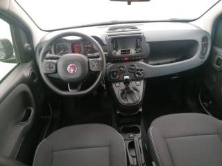 FIAT Panda usata 14