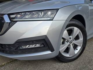 SKODA Octavia usata 145
