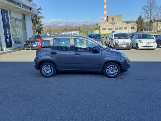 FIAT Panda usata, con Alzacristalli elettrici