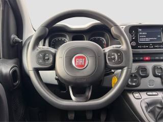 FIAT Panda usata 12