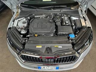 SKODA Octavia usata, con Cruise Control