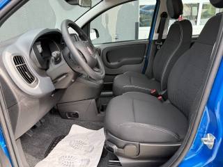 FIAT Pandina usata, con Airbag Passeggero