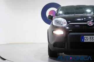 FIAT Panda usata 43