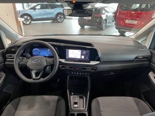 FORD Tourneo Connect usata, con Chiusura centralizzata