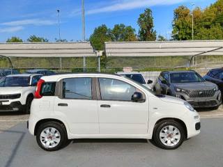 FIAT Panda usata, con Antifurto