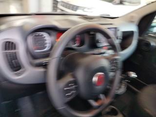 FIAT Panda Cross usata 20