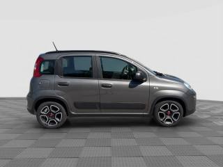 FIAT Panda usata 5