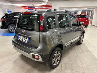 FIAT Panda Cross usata, con Cronologia tagliandi