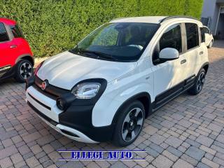 FIAT Pandina usata, con Immobilizzatore elettronico