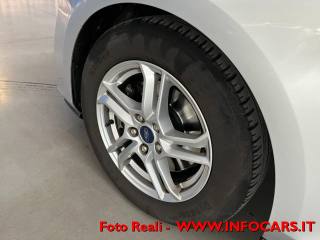 FORD Focus usata, con Bracciolo