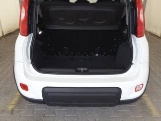 FIAT Panda usata, con USB