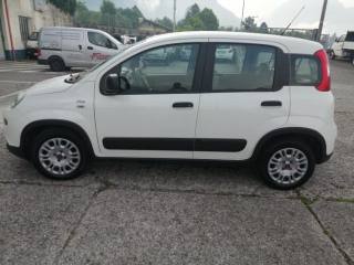FIAT Panda usata, con Controllo trazione