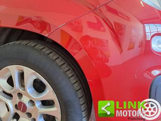 FIAT Panda usata 13