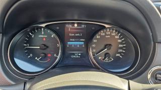NISSAN X-Trail usata, con Fendinebbia