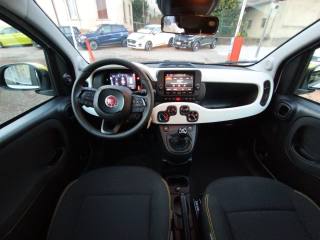 FIAT Panda usata, con Cruise Control