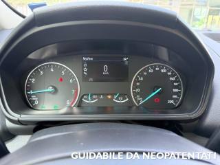 FORD EcoSport usata, con Autoradio