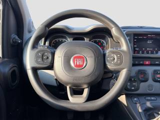 FIAT Panda usata 12
