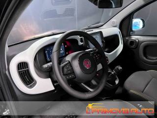 FIAT Panda usata, con Fendinebbia