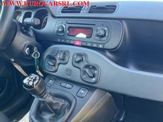 FIAT Panda usata 21
