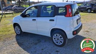FIAT Panda usata, con Controllo trazione